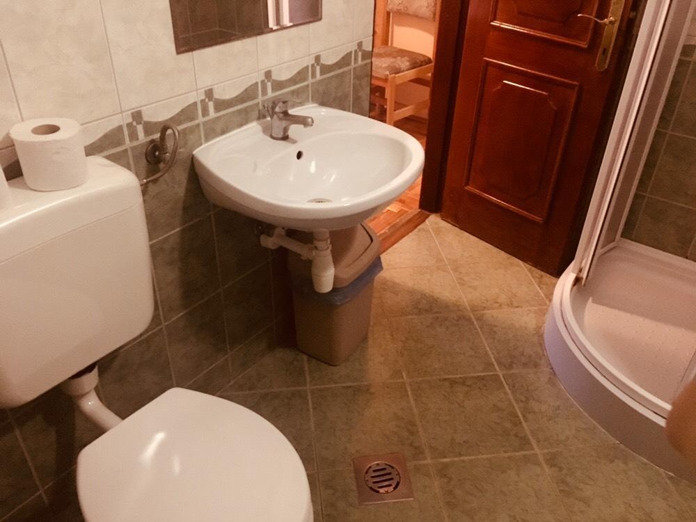 Hotel Rozsakert Panzio à Nyíregyháza Extérieur photo